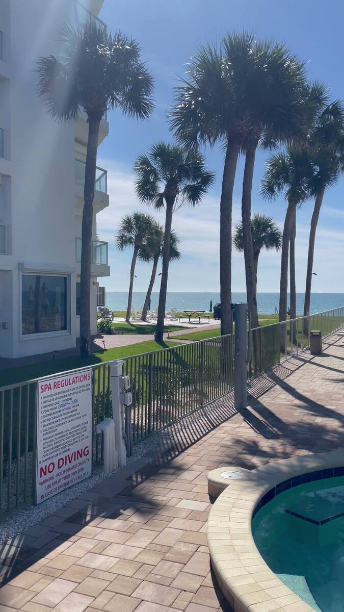 Shoreline Through The Palms